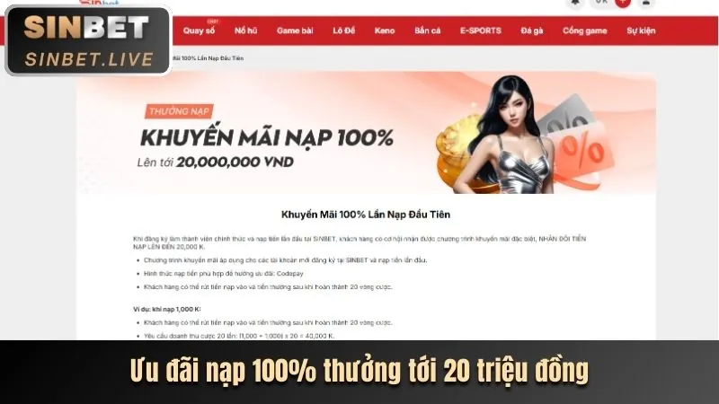 Thiết bị thể thao đa dạng và giao diện cá cược